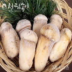 (청림송이 능이) 자연산 냉동송이버섯 (특품), 1개, 냉동송이/L/1kg