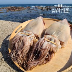 삼삼해물 국내산 반건조 오징어 (왕특대2.0kg), 단품