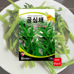 공심채씨앗 10g 공심채 종자 씨 아열대채소씨앗, 1개