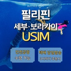 필리핀 유심 세부 보홀 마닐라 보라카이 여행 유심칩, 인천공항 2터미널, 1터미널 구매 후 요청사항에 T2수령으로 기입, 옵션입력 수량 제한으로 추가 등록불가