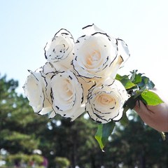 [계절의꽃] 샤넬장미 생화 웨딩장미 5송이 장미꽃 농장직송 꽃배달