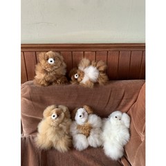 페루산 알파카 테디베어 곰인형, 15cm~17cm, 배화이트