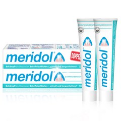 독일 Meridol Toothpaste 메리돌 치약 75ml x 2개입, 2개