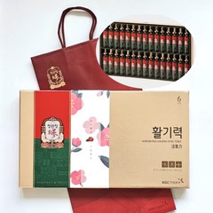 정관장 홍삼정 활기력 30개입 600ml 선물용 쇼핑백 운동 여행 부모님 골프 명절, 1박스