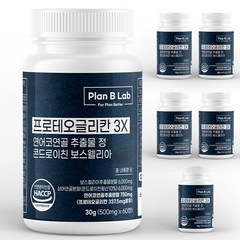 플랜비랩 프로테오글리칸 3X 연어코연골 추출물 750mg 콘드로이친 보스웰리아, 6개, 60정