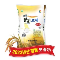 [당일도정] [동철원농협 직접운영] 2023년산 두루웰 철원오대쌀, 5kg, 1개