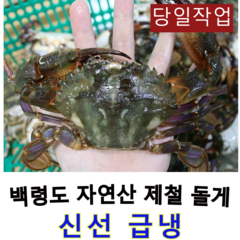 백령도 제철 돌게 급냉 박하지 민꽃게 게장용 돌게장 대 3kg(암수랜덤), 3kg (대 암수랜덤), 1개