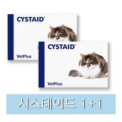 벳플러스 시스테이드 플러스 고양이 영양보조제 30캡슐, 1+1, 1개(30캡슐)
