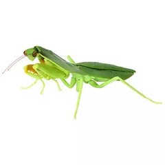 반다이 가샤폰 지구상 생명체의 다양성 거대한 리얼 곤충 죽은 잎 사마귀 04 deroplatys 액션 피규어 장난감, a