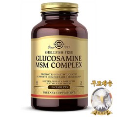미국산 솔가 글루코사민 MSM 컴플렉스 120정 Glucosamine MSM Complex Solgar 선물증정