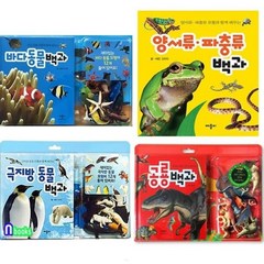 [전집] 모형과 함께 배우는 백과사전 4권 세트/극지방동물백과.공룡백과.양서류파충류백과.바다동물백과, 애플비북스(전집)