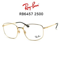 RAY BAN 레이벤 안경 RB6457 2500(53)