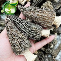 특산물 자연산 모렐버섯 곰보버섯 250g, 곰보버섯 250g - 중