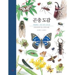 곤충 도감 : 우리나라에 사는 곤충 144종, 보리, 세밀화로 그린 보리 큰도감