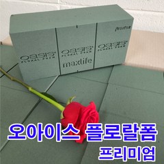 1박스 OASIS 폼(프리미엄)20개 무료배송/꽃꽃이스펀지