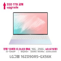 LG그램style 16ZD90RS-GX56K 인텔 i5 13세대 OLED WQHD+, 오로라 화이트, 코어i5, 1TB, 16GB, Free DOS