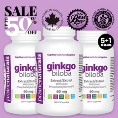 프레리 내추럴스 은행나무(ginkgo biloba) 추출물 60정 120정 360정(베지 캡슐) 5+1 PRAIRIE NATURALSGinkgo Biloba, 60mg x 60정 - 1병