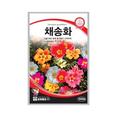 모칸도 (무배)세계 채송화 꽃씨 (2000립), 1개