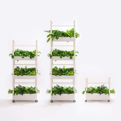 수경재배기 식물재배기 가정용 실내 스마트팜 채소 야채 상추 키우기 [오디가 ODIGA], LED 식물등 포함, 1단, 1개