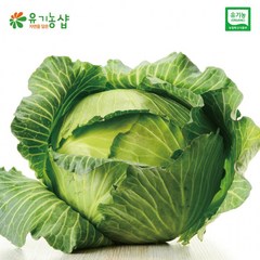 한정특가 양배추 국내산 유기농 / 1kg, 1개