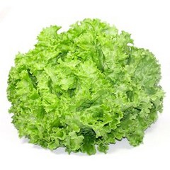 산지직송 쌈 채소 바타비아 상추 2kg 유러피안 샐러드 야채, 1박스