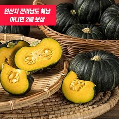 열매농장 해남 직송 미니밤호박, 1box, 4kg