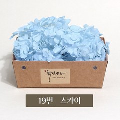 화연양화 블루밍 수국 박스수국 컬러최다 30색! 프리저브드플라워, 19 스카이