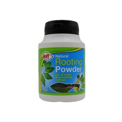 내추럴 루팅 파우더 도프 75g x 2개 + 계량수저 Doff natural rooting powder 발근제 삽목