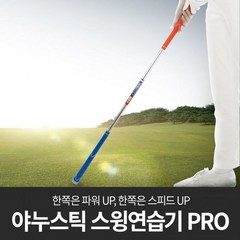 DM 국내산 혼시티 골프 스윙 연습기 야누스틱 프로, 단일상품_색상_상세페이지참조