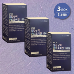 뉴트리코어 철갑상어 콘드로이친 1200mg X 3병 저분자 상어 연골, 3개