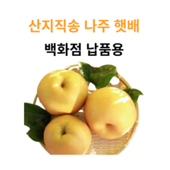 맛쿔과일 나쥬배 (가정용/특품/선물세트) 산지직송, 3kg (가정용)