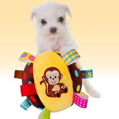 놀아보개 삑삑이 강아지 장난감 동물 공인형, 1개, 밤색노랑(원숭이)