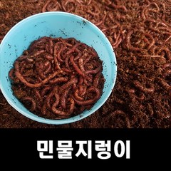 [낚시장터] 민물지렁이 5통, 190g