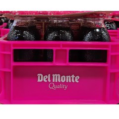 코스트코 델몬트 미니 포도주스 250ml X 8 미니병 DEL MONTE