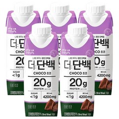 빙그레 더단백 드링크 초코 250ml / 우유단백질 20g 함유 저지방 단백질음료, 5팩