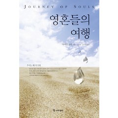 영혼들의 여행, 나무생각, 마이클 뉴턴 저/김도희,김지원 공역