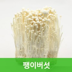 팽이버섯(150gx34봉) 무농약 팽이버섯 싱싱지오, 팽이버섯