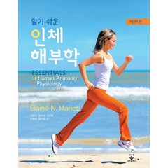 알기 쉬운 인체해부학, 군자출판사, Elaine N. Marieb 저