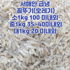 산지직송 서해안 급냉 꼴뚜기 호래기 횟감용 500g 1kg, 급냉꼴뚜기_소사이즈_1kg, 1개