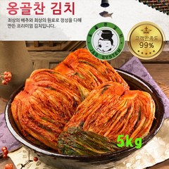 J&B 옹골찬김치 (고추-국산)>포기김치 배추김치 국내산김치 깔끔한 맛!, 5kg, 1box