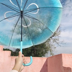 해파리우산 투명 예쁜 우산