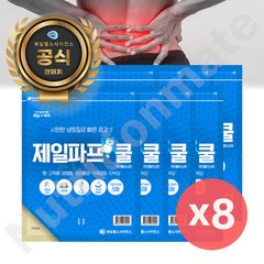 제일파스 붙이는 제일파프쿨 40매 통증패치 근육통관절파스, 5매, 8개