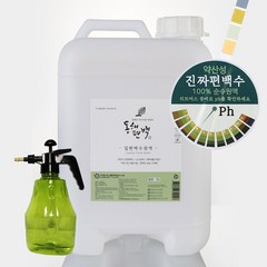 동해편백 피톤치드 스프레이 새집증후군 탈취제 잎편백수 원액 10L, 잎편백수10L