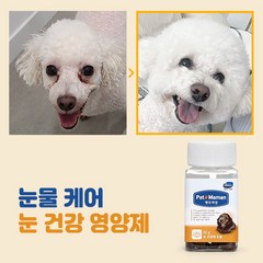 펫또마망 강아지 눈 영양제 눈물자국/시력/건조함 케어 2BOX, 눈건강에 도움 2BOX