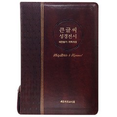 큰글씨성경전서(대/개역개정/새찬송가/합본/NKR73EBU/브라운)
