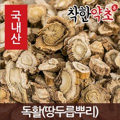 국내산 독활(땅두릅뿌리) 600g, 1개