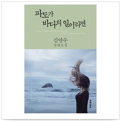 파도가 바다의 일이라면 - 김연수