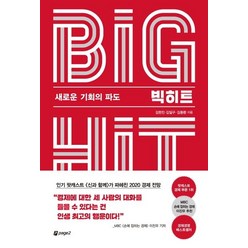 [페이지2북스]빅히트 (새로운 기회의 파도), 페이지2북스, 김한진김일구김동환