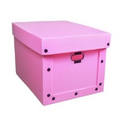 플박 다용도 정리함 대형, 핑크(박스) + 랜덤발송(단추), 5개