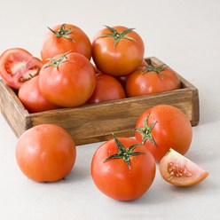 광식이농장 완숙 토마토, 5kg, 1개